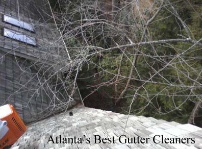 Woodstock's Best Gutter Cleaners Before and After Tree Pruning